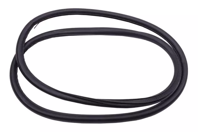 13228132 - Body: Weather-strip On Body for Buick: Regal Image