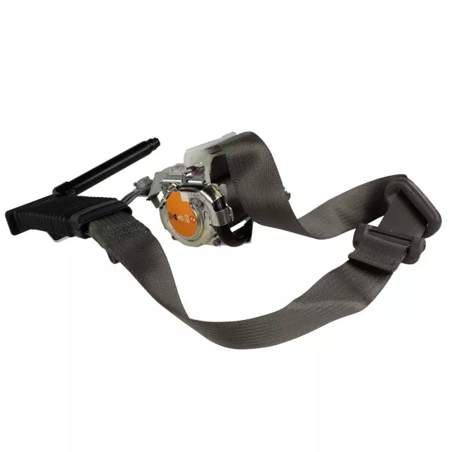 GL3Z16611B09AA - Electrical: Outer Belt for Ford: F-150 Image