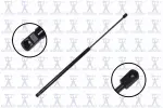 84205 - : Focus Auto Parts Tailgate Lift Support for Focus Auto Parts Image