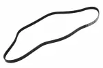 55578485 - : V-Ribbed Serpentine Belt for GM Image