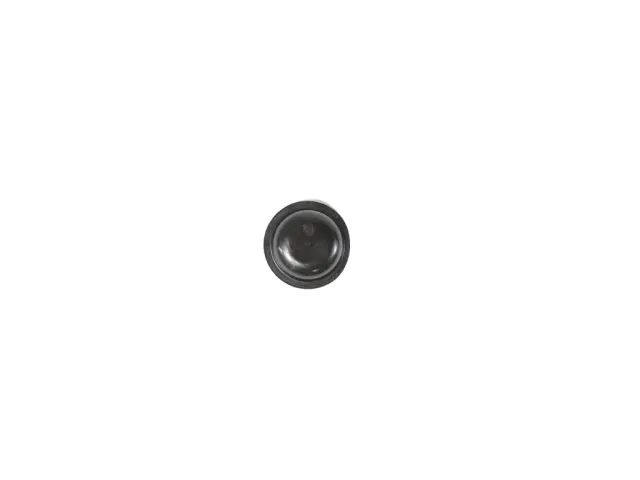 4779253AA - Brakes: Wheel Bearing Cap for Mopar Image