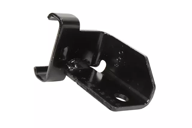 15219766 - Emission System: Vapor Canister Bracket for GM Image