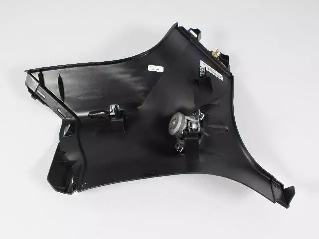 D Pillar Molding, Right - Mopar (1GG60DX9AE)