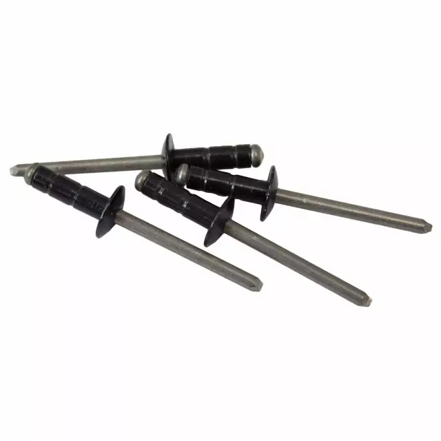 W714004S900 - : Pillar Molding Rivet for Ford: Bronco Sport, Expedition, Explorer, Flex, Police Interceptor Utility Image