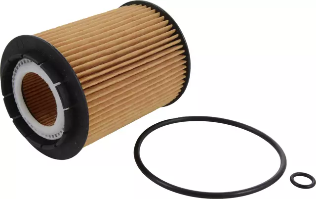 Filter, Oil - GM (25313731)