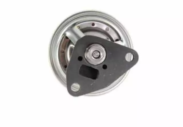 Exhaust Gas Recirculation (EGR) Valve Kit with Gasket - GM (19210681)