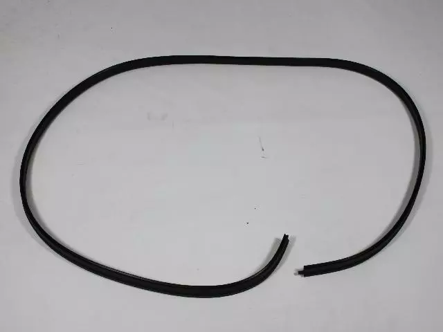 Weatherstrip - Mopar (55135179AB)
