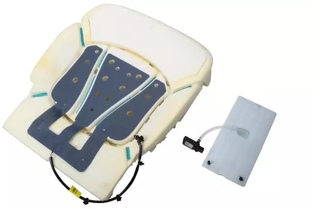 84162681 - Body: Seat Cushion Pad for Buick: Envision Image