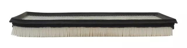 Air Filter - GM (19256977)