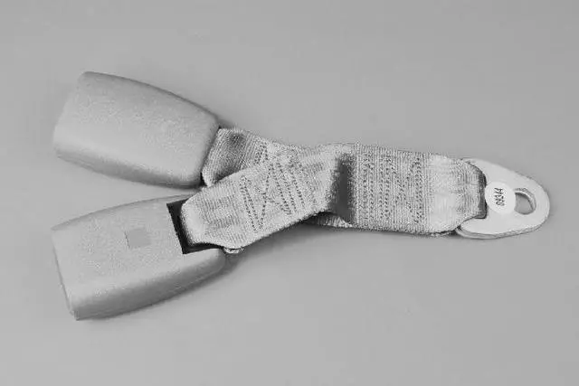 TF581J3AC - Interior Trim: 3 Passenger Inner Seat Belt for Chrysler: Town &amp; Country | Dodge: Caravan, Grand Caravan Image