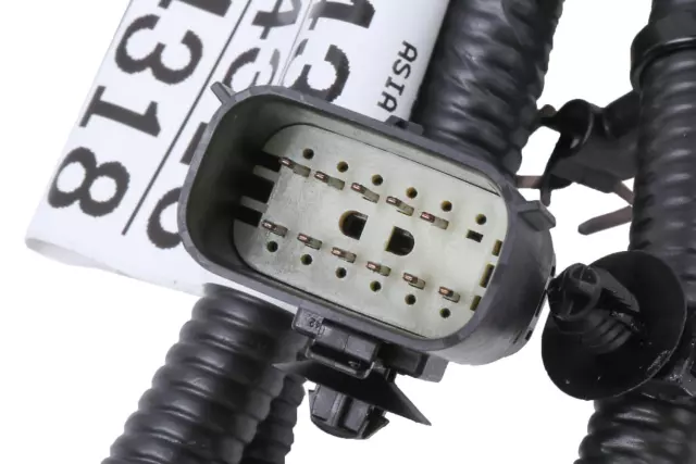 Chassis Rear Wiring Harness - GM (42494318)