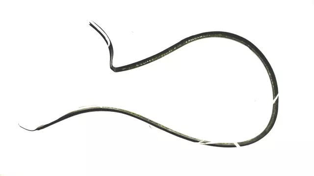 91069AB270 - Body: Protector for Subaru Image