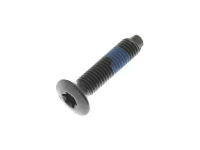Striker Screw - Ford (W711379-S900)
