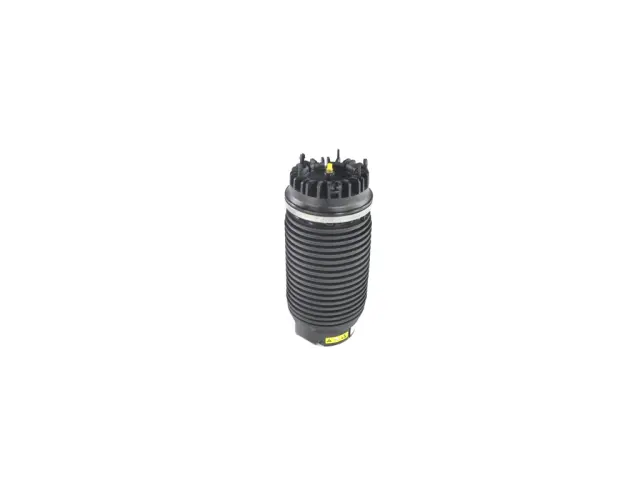 Air Suspension Spring Assembly, Right - Mopar (68260938AB)