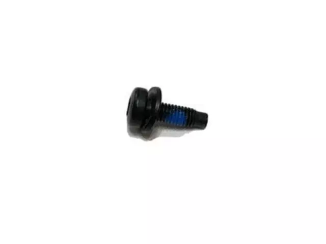 Center Track Screw - Ford (W702253-S450B)