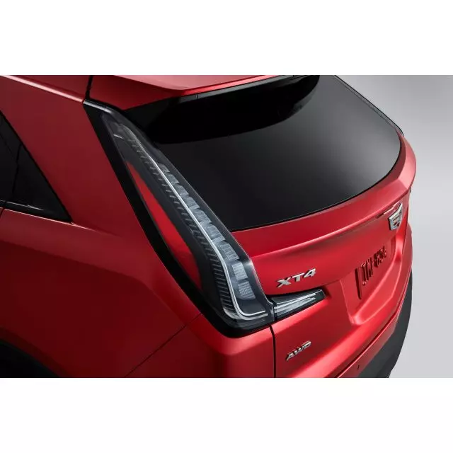 Tail Lamp, Neutral Density - GM (84572854)