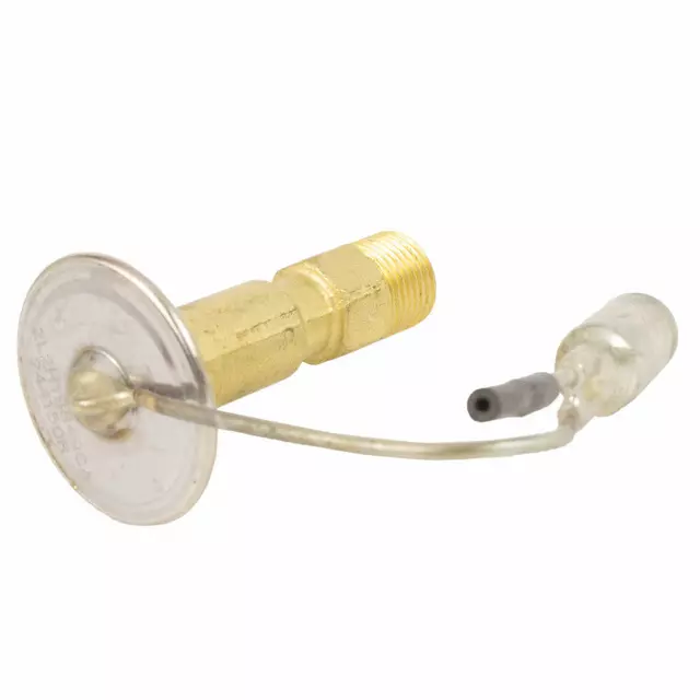 A/C Expansion Valve - Ford (2L2Z-19849-CA)