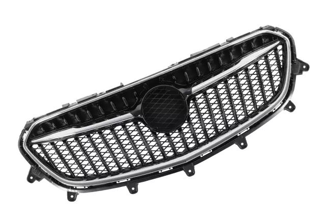 Grille Assembly - GM (42698090)