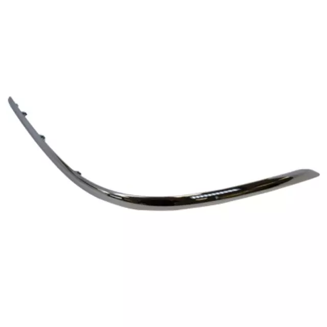 Cover Molding - Ford (3W1Z-17C829-AA)