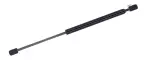 613317 - : Liftgate Lift Support for Tuff Support Image