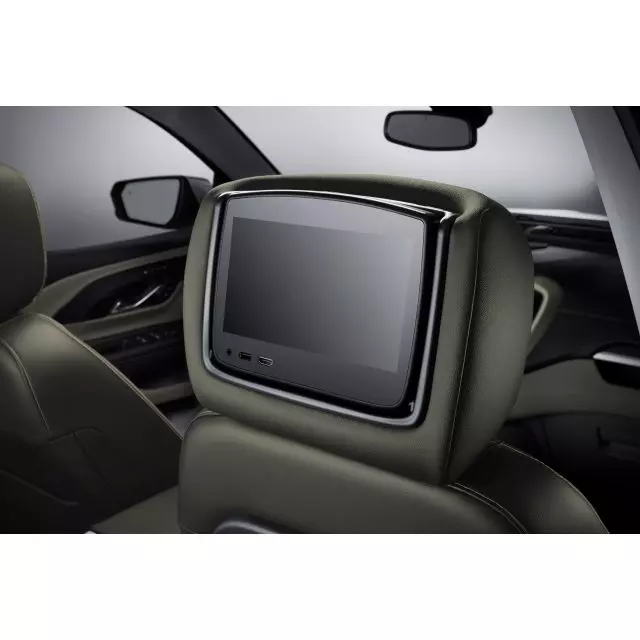 Headrest and Video Screen Assembly - GM (84576972)