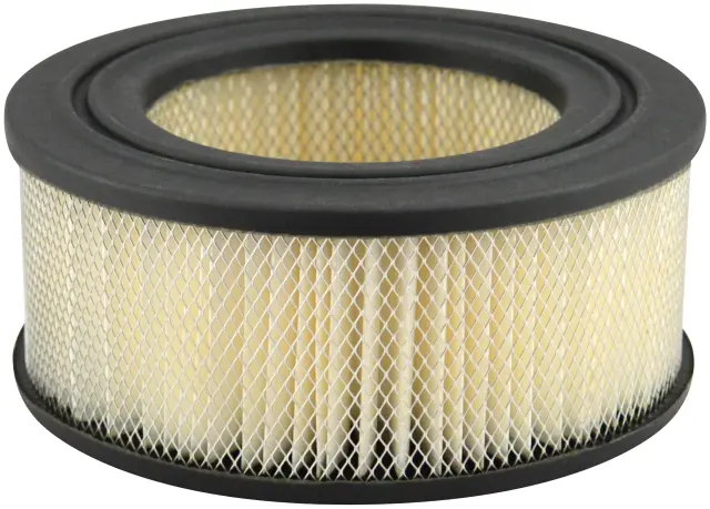 PA696 - : Air Element for Baldwin Image