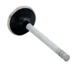 V1791 - : Engine Exhaust Valve for Enginetech Image