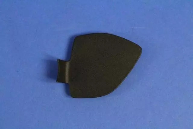 Release Handle Bezel Cover, Left - Mopar (1WF17DX9AD)