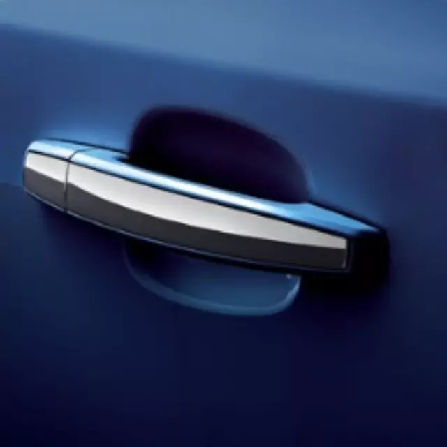 Door Handles, W\\/Chrome - GM (95107223)