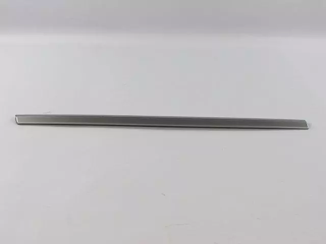 Sliding Door Molding, Right - Mopar (ZW501S2AA)