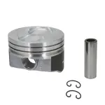 H423DCP30 - : Engine Piston Set for SEALED POWER Image
