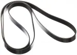 117201LA0B - : Serpentine Belt for INFINITI: M56, QX56, QX80 Image