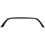 NL1Z17D957AAPTM - Body: Upper Cover for Ford: Expedition Image