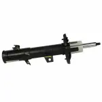 AST84838 - : Shock Absorber Assembly for Ford: EcoSport Image