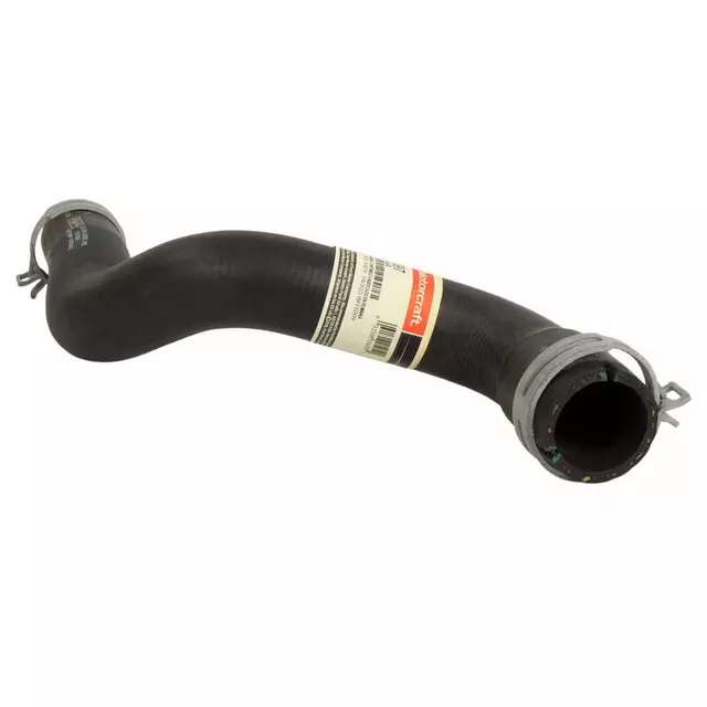 CV6Z8286AA - : Lower Hose for Ford: Focus Image