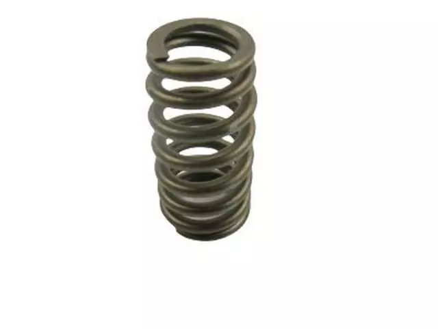 Engine Valve Spring - Ford (EL3Z-6513-A)