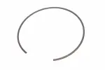 24273641 - : F (S)Ring for GM Image