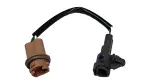 8155548090 - Electrical: Tail Light Socket for Toyota Image