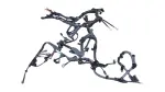 821210E350 - Electrical: Engine Harness for Toyota Image