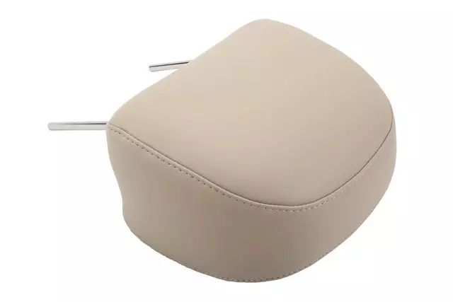 Rear Disc Brake Caliper Piston Kit with Seals and Pistons - GM (19206976)