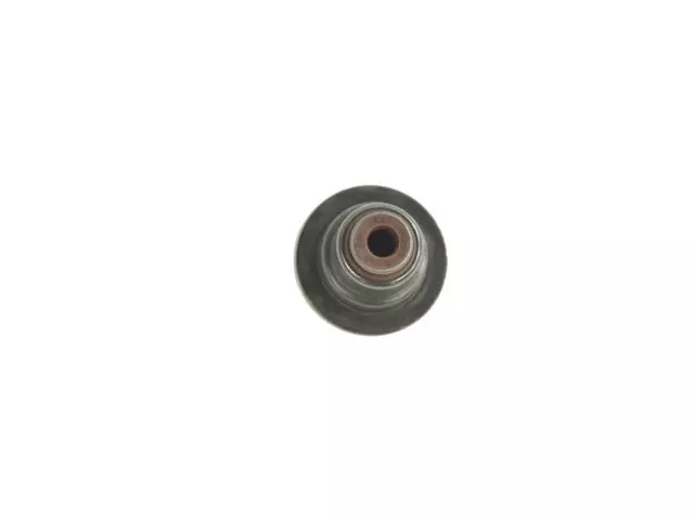Valve Guide Seal, Right Cylinder Head - Mopar (68295813AA)