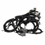 HL3Z14405VJ - : Wiring Assembly Rear Lamps for Ford Image