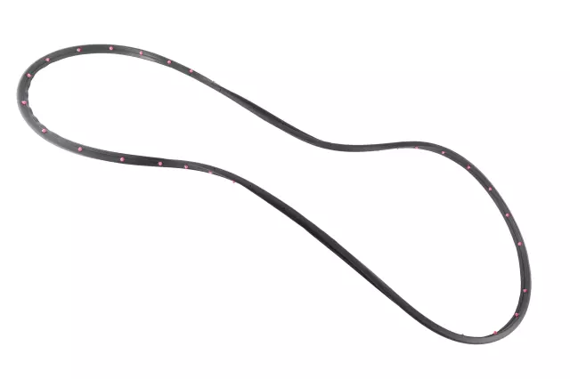 42766266 - Body: Door Weather-strip for Chevrolet: Trailblazer Image