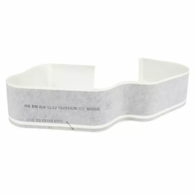 GL3Z16255A36AA - Body: Stripe for Ford: F-150 Image