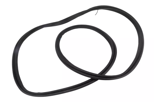 Body Weather-Strip - GM (84859970)