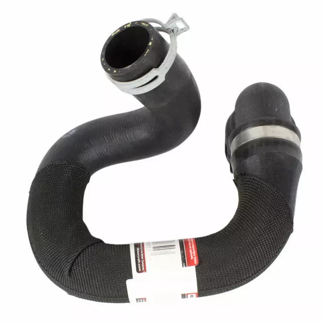 CV6Z8286T - Cooling System: Lower Hose for Ford: Focus Image image