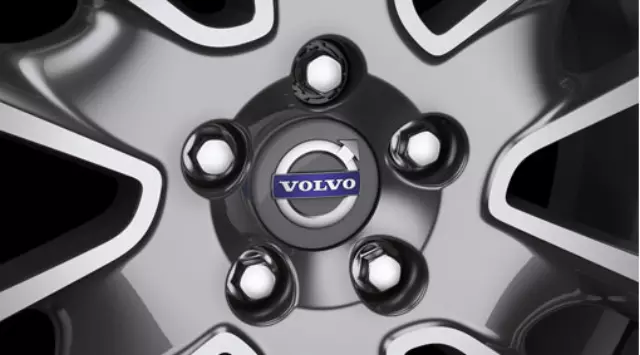 2016-2025 Volvo XC90 Wheel 21-Inch 10-Spoke 31454203 | OEM