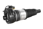 V45500003 - : Air Suspension Strut for VEMO Image