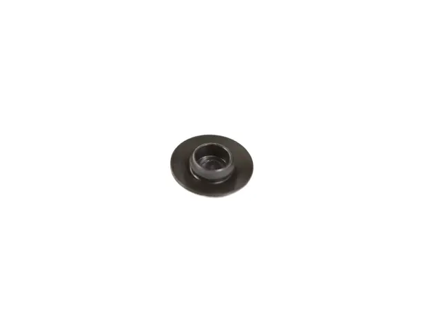 6031043 - Doors and Related Parts: Plug for Mopar Image