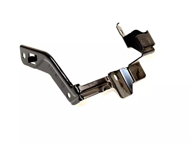 Body Control Module Bracket - Mopar (68213824AA)